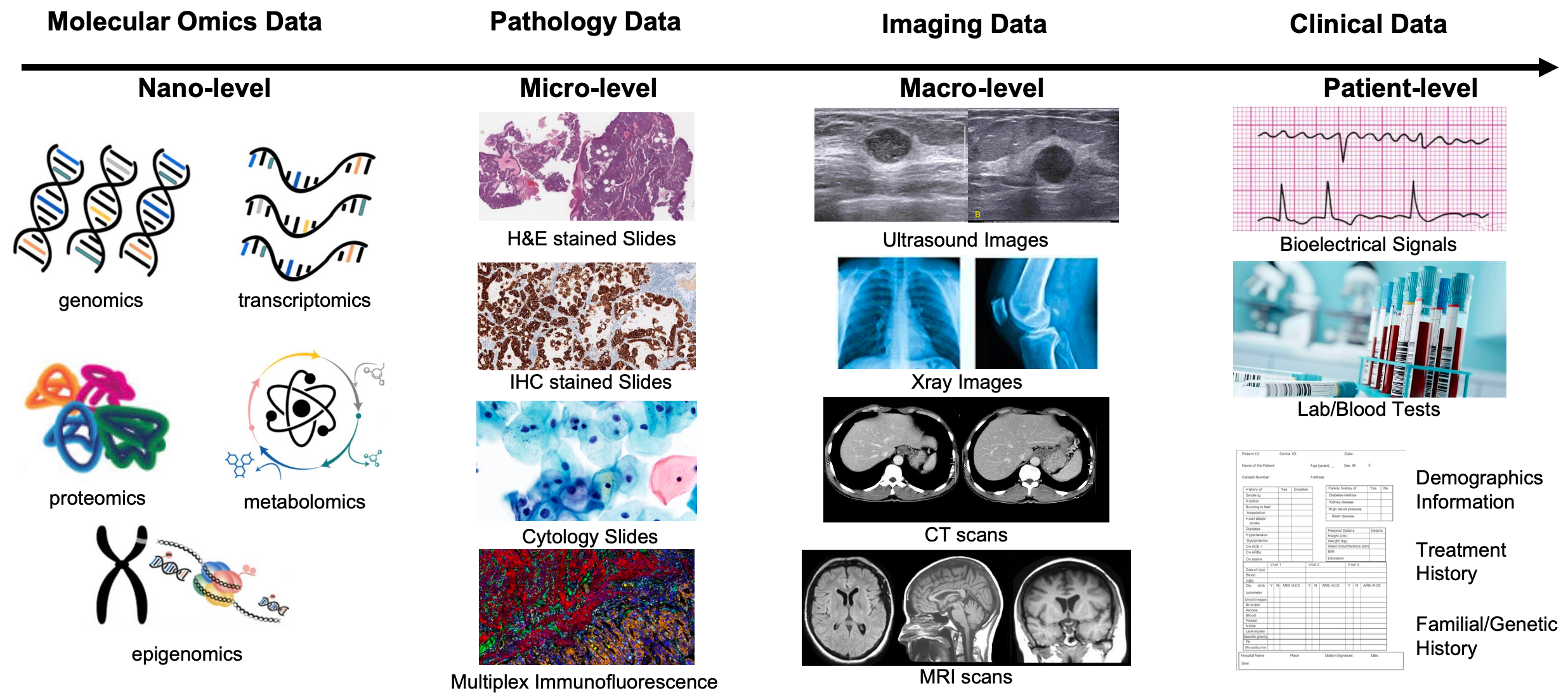 Image showing different modalities where AI tasks can be carried out - like MRI, CT, histology, genomics and patient-level data