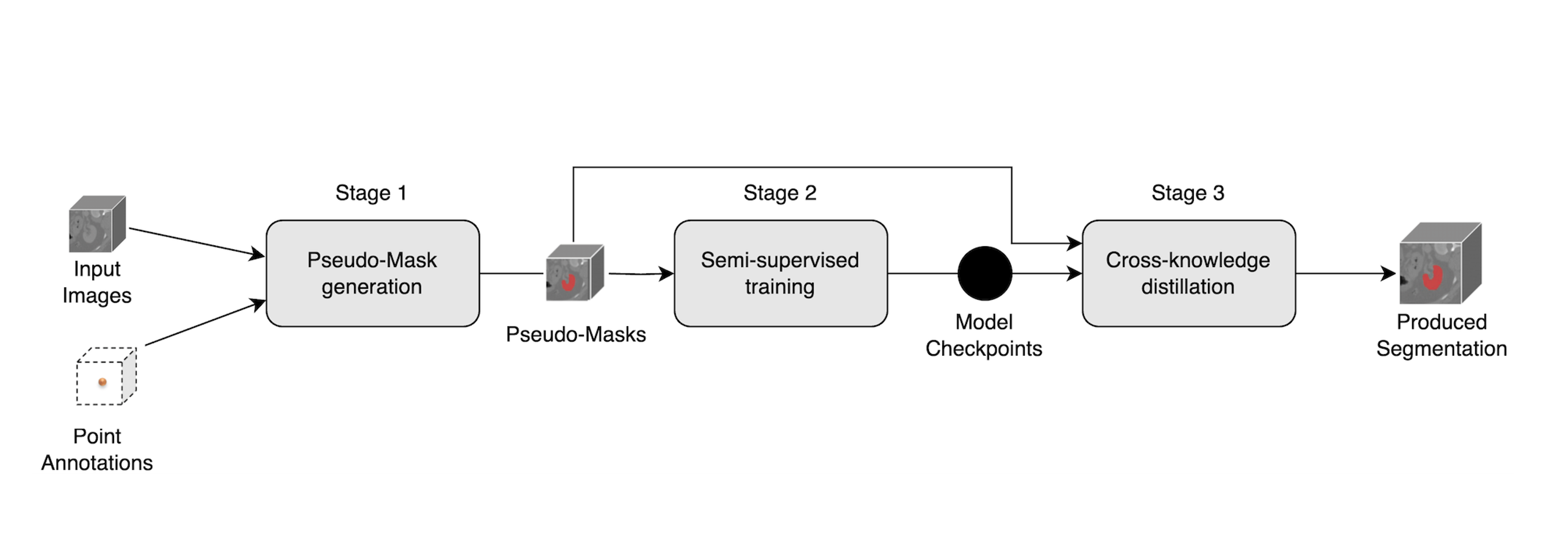 Overview of the weakly supervised prostate MRI segmentation pipeline.
